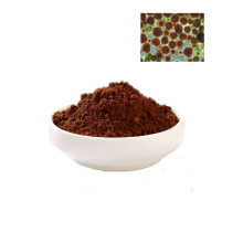 Dunaliella Salina Extract Powder